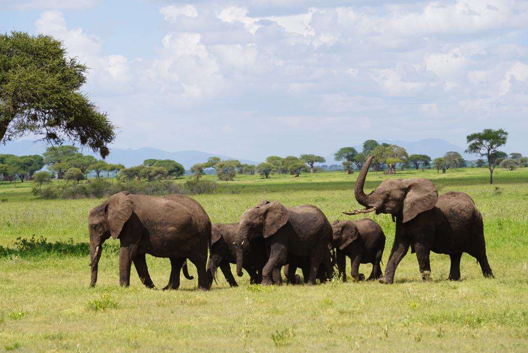 Serengeti National Park, Best Please to visit 