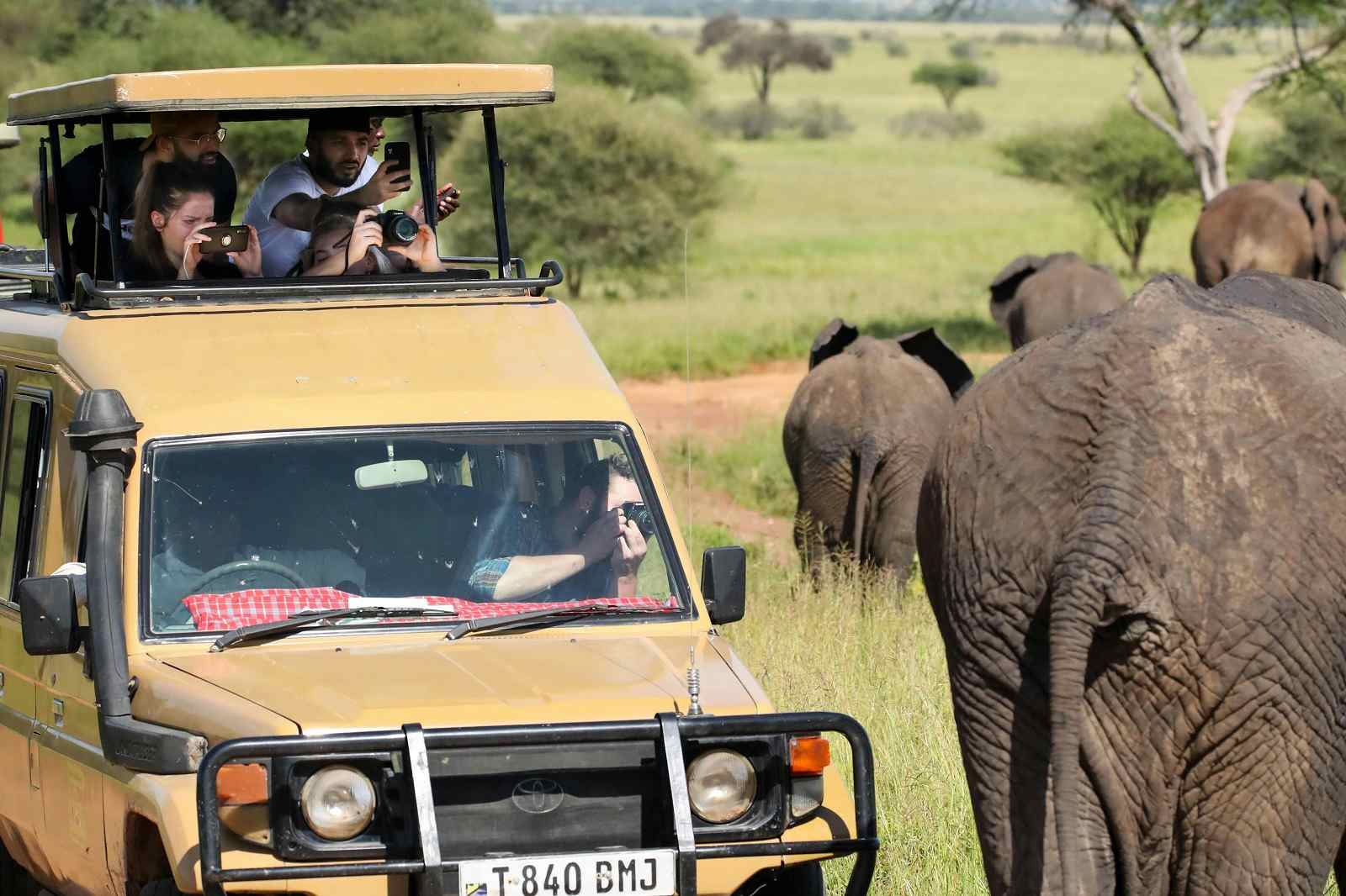 Safari Adventures in Tanzania 