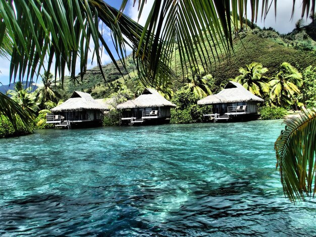 Fiji Travel Destination 