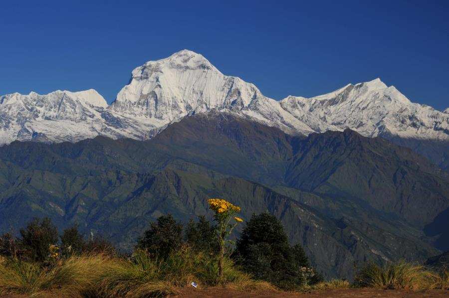 Nepal Experience Tour