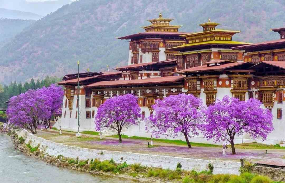 Best Things to do in Bhutan