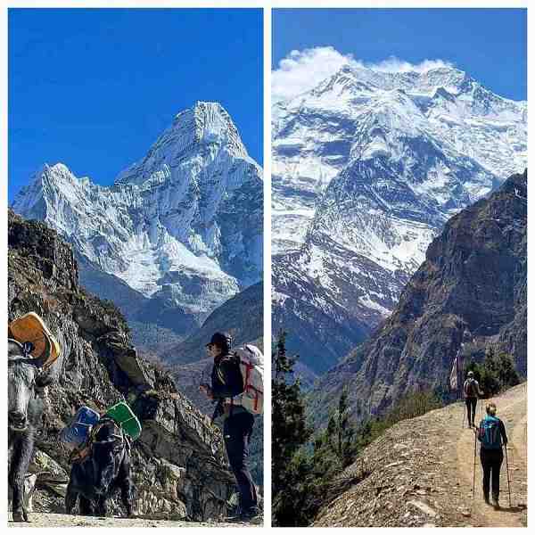 Annapurna Circuit Trek vs Everest Base Camp Trek