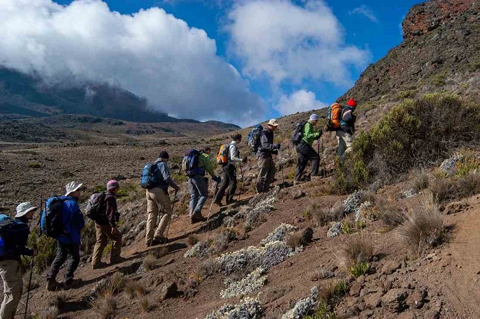 Beginners Guide For Kilimanjaro Climb