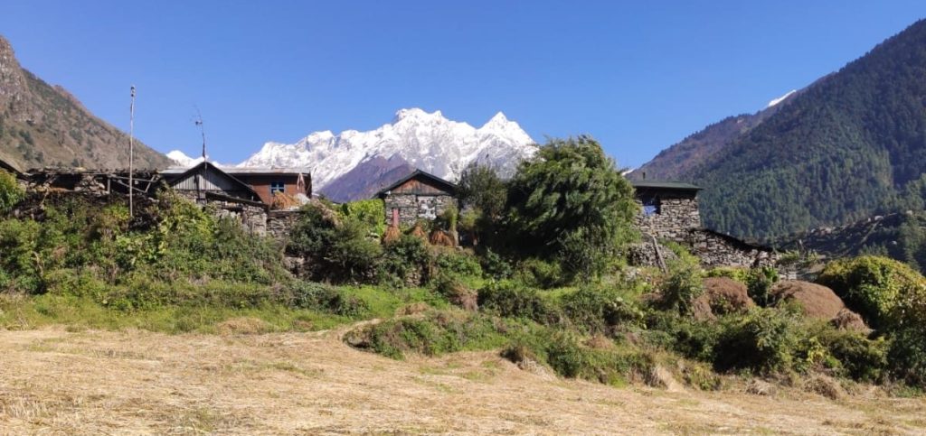 Traditional stone houses and green fields in Tsum Valley with the majestic Manaslu Circuit mountains visible under a clear blue sky-Tsum Valley with Manaslu Circuit Trek