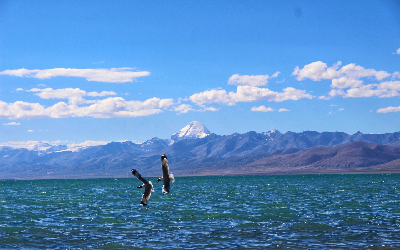 Birds flying over the turquoise waters of Lake Mansarovar with sacred Mount Kailash rising in the background, during the Mount Kailash Mansarovar Tour via Hilsa