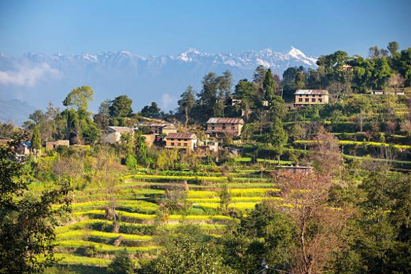 Nagarkot landscape with terraced fields and traditional houses, viewed during the Chisapani Nagarkot Dhulikhel Namobudhha trek