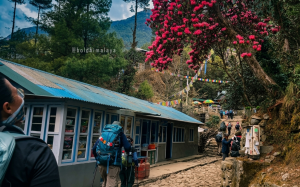 Trekkers walking along a forest trail surrounded by blooming rhododendrons and colorful prayer flags on the Everest Base Camp Trek.