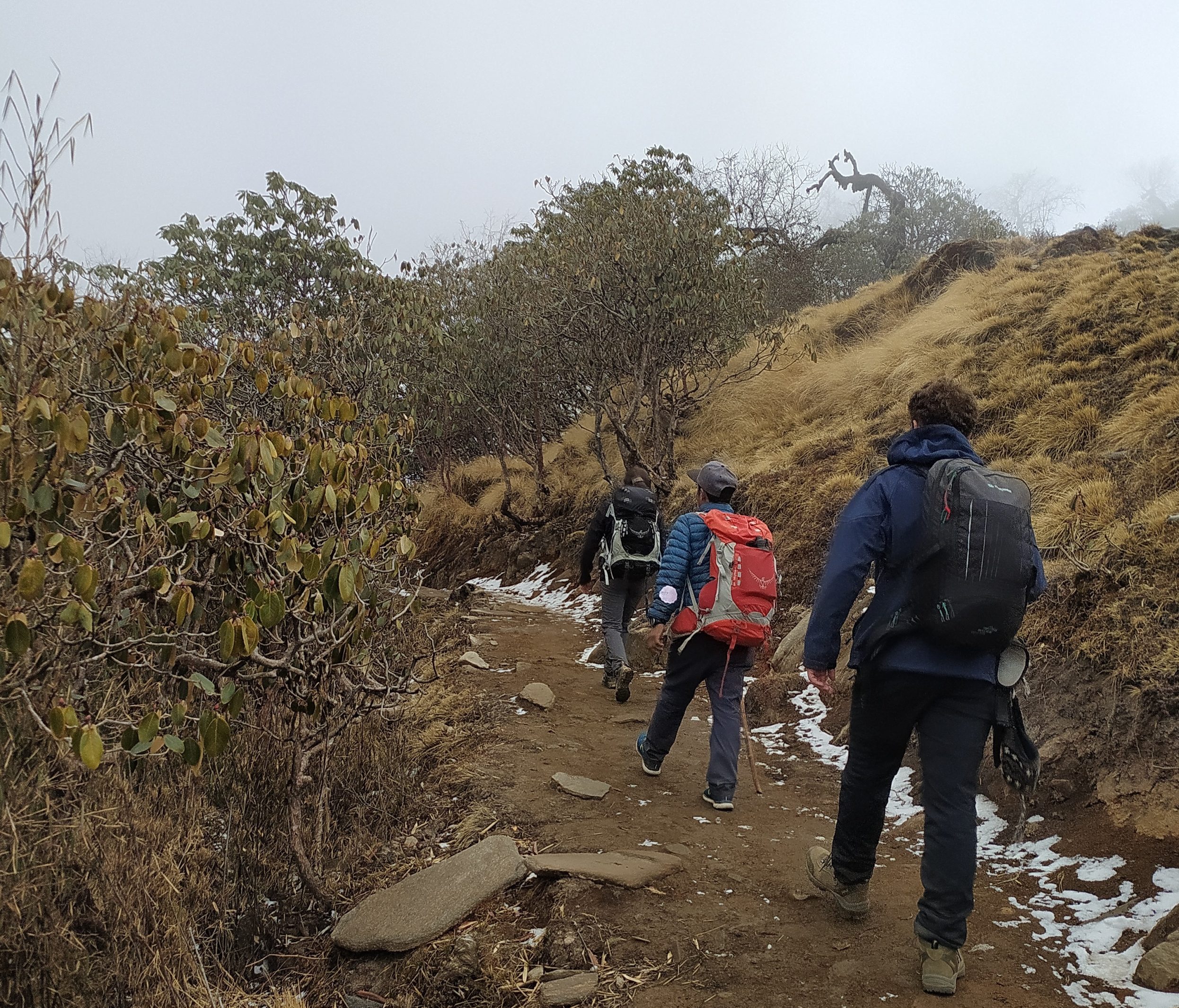 Heading towards Mardi Himal Base Camp on the Annapurna and Mardi Himal Combined Trek
