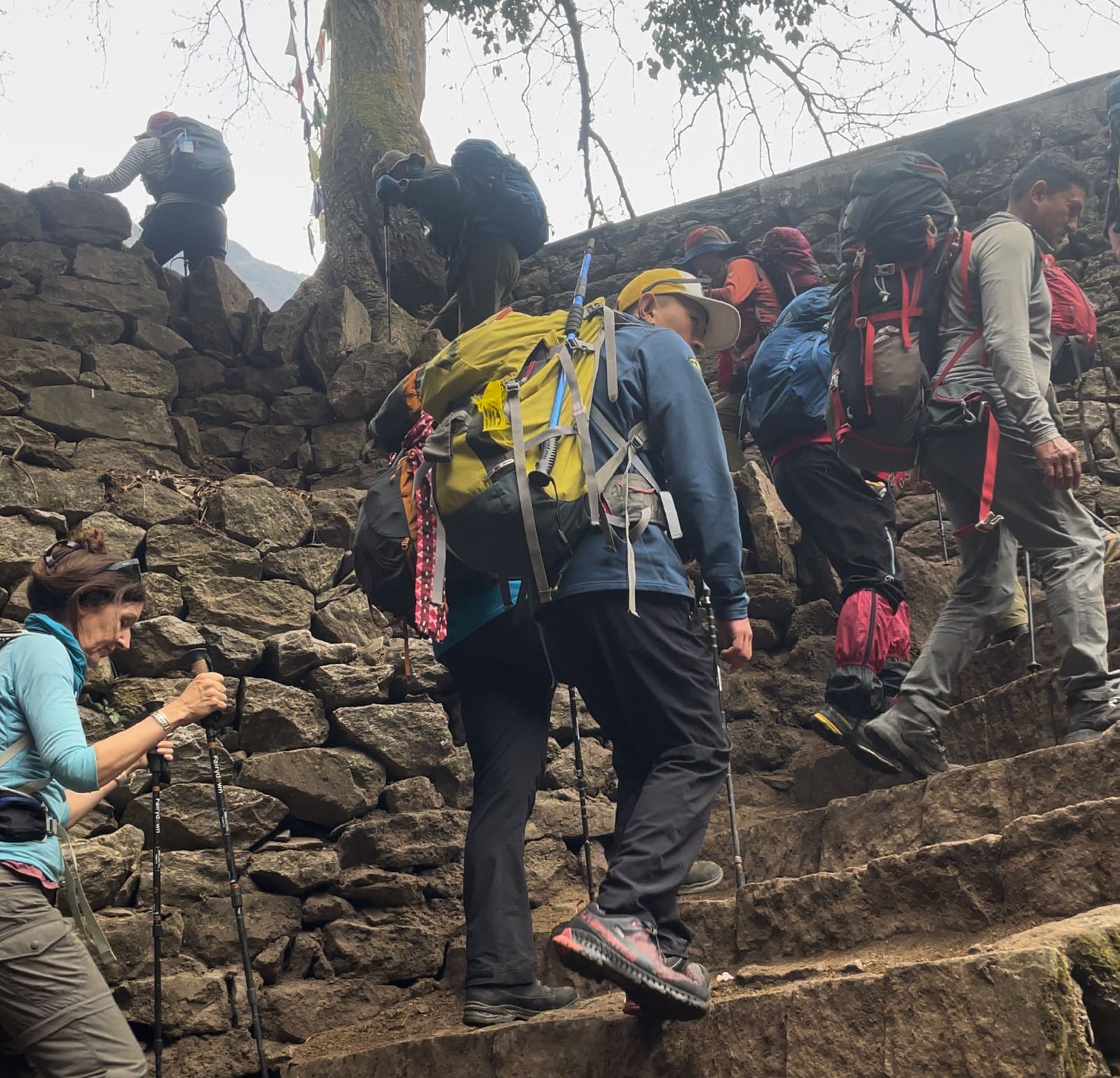 Trekkers heading uphill from Phakding to Namche Bazaar through pine forests on the Everest View Trek route.