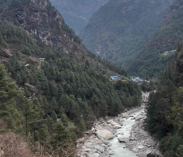 Dudh Koshi River flowing through a forested Himalayan valley on the route to Lobuche Peak Climbing in the Everest region.