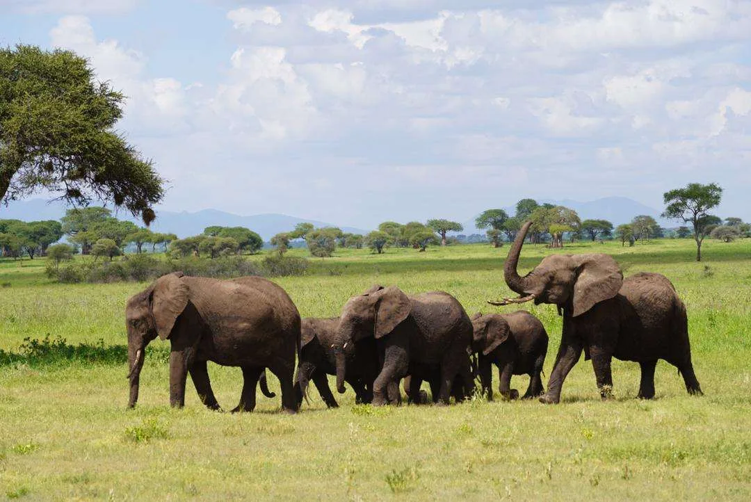 Wildlife & Nature Tour