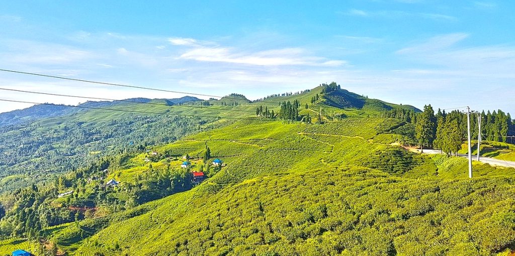 Ilam, Nepal’s picturesque hill district, is famous for its verdant tea gardens, scenic landscapes, and serene natural beauty, rewarding the best tourist places to visit in Nepal