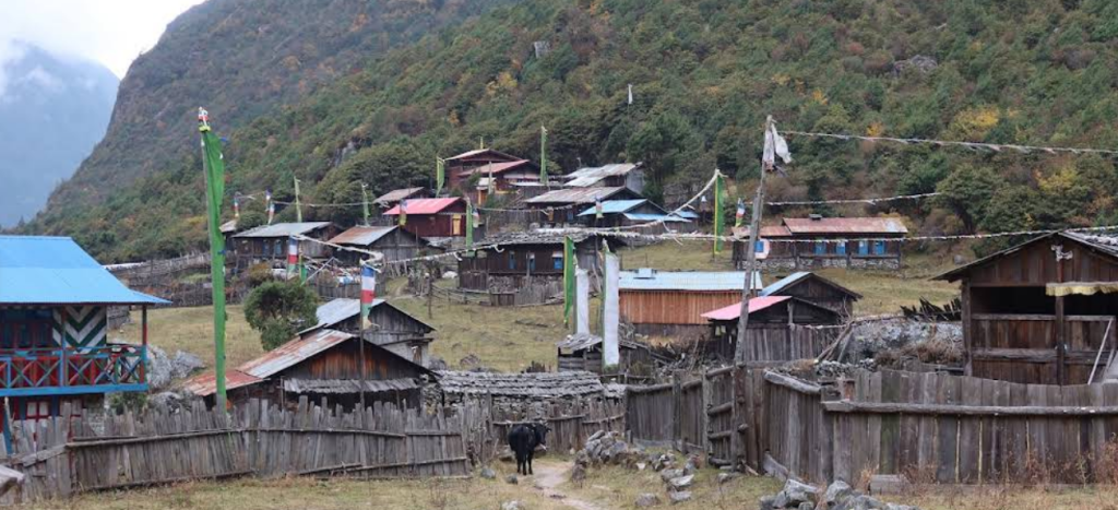 Traditional mountain village with wooden houses and prayer flags on the Kanchenjunga Base Camp Trek route in eastern Nepal.