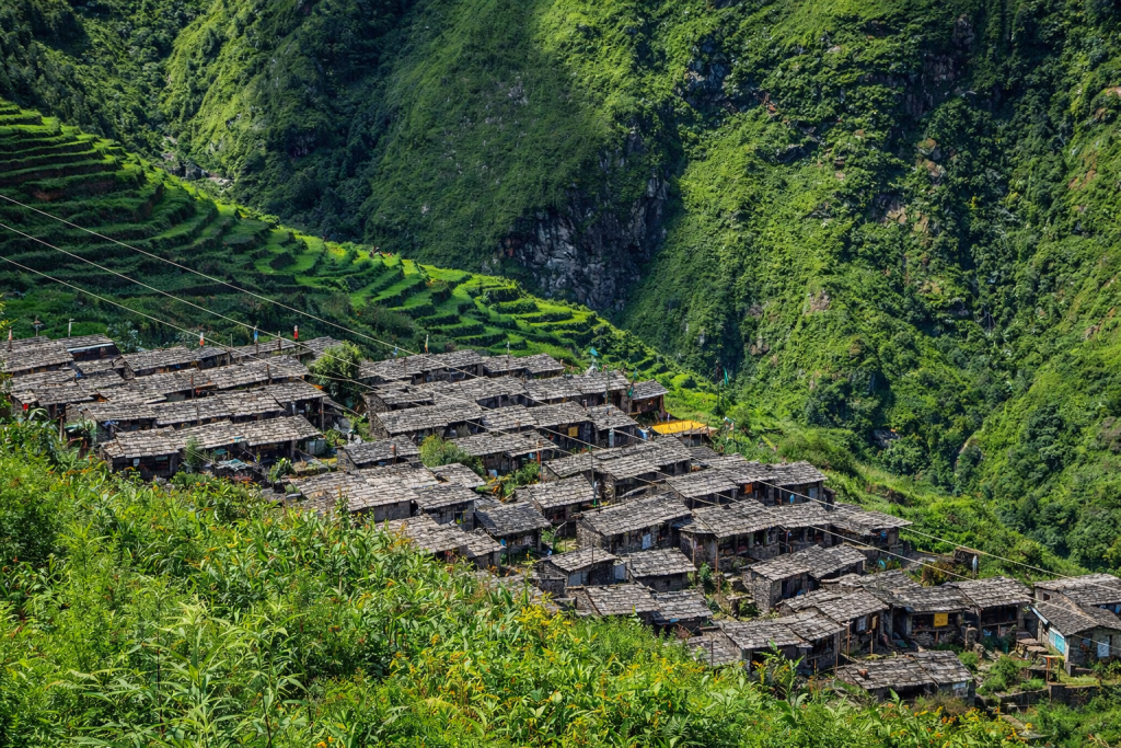 Traditional Tamang village on Tamang Heritage Trail with stone houses and green hills in Nepal winter trek