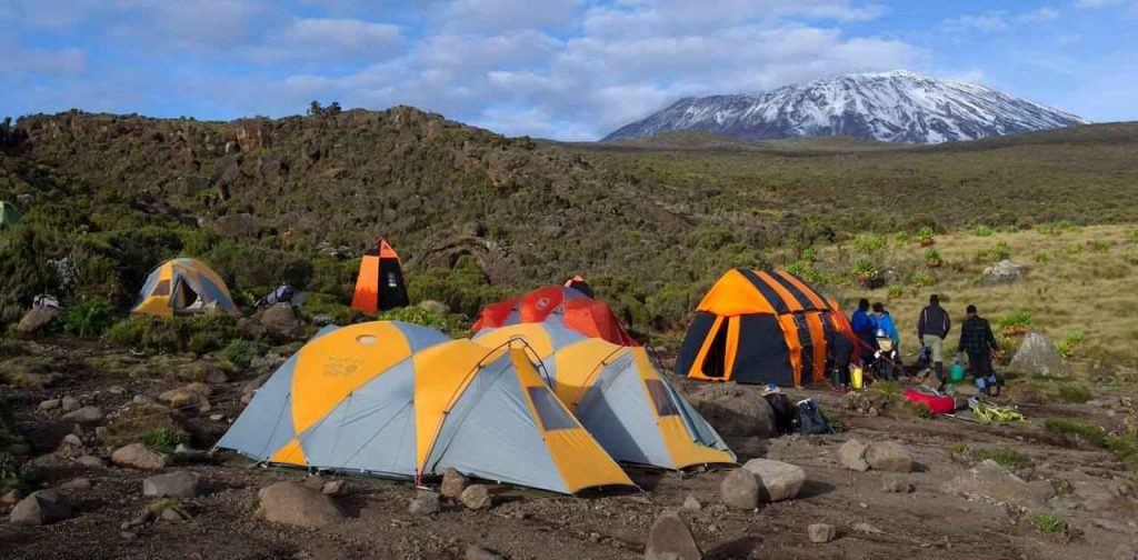 Colorful trekking tents at a high-altitude campsite on Mount Kilimanjaro with snowy summit in the background during the Kilimanjaro climb.-Everest Base Camp Trek vs Kilimanjaro Climb