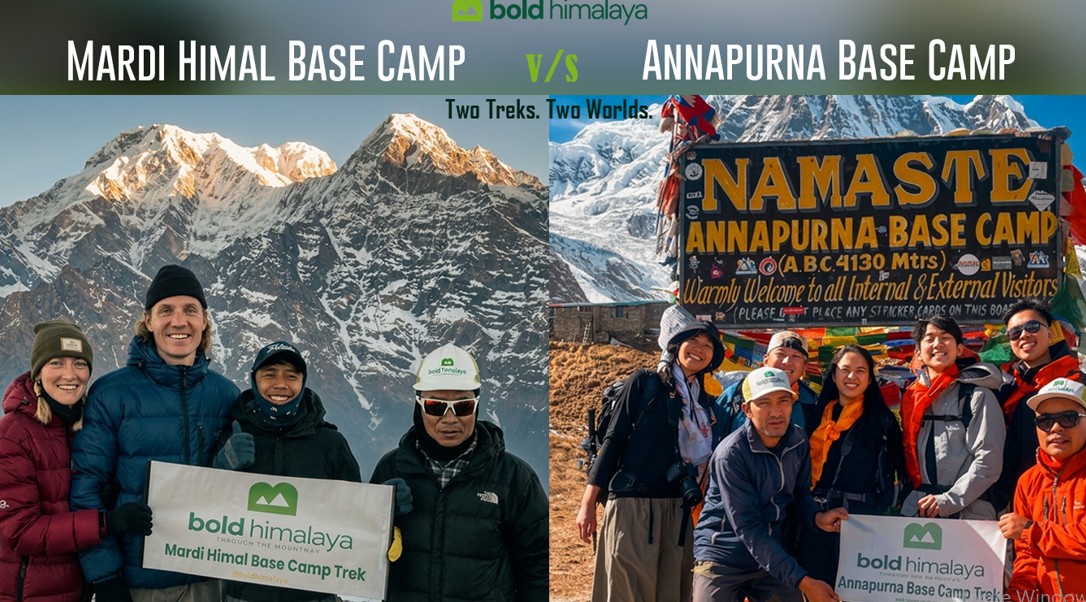 Annapurna vs Mardi Himal Base Camp Trek showing contrasting Himalayan landscapes, along with trekkers.