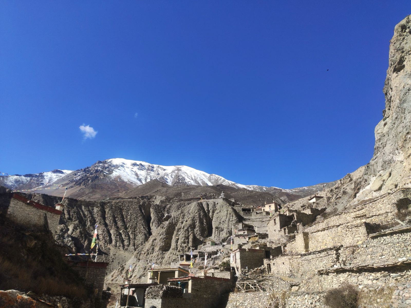 Phu Village at 3,650 m / 11,975 ft during the Nar Phu Trek, showcasing traditional Himalayan village and surrounding mountains in Nepal