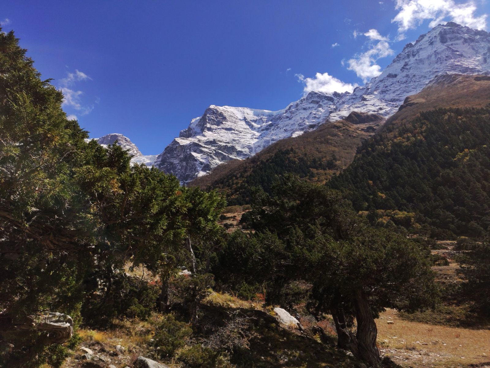 Trekkers trekking from Meta to Kyang Village along the Nar Phu Valley Trek in Nepal
