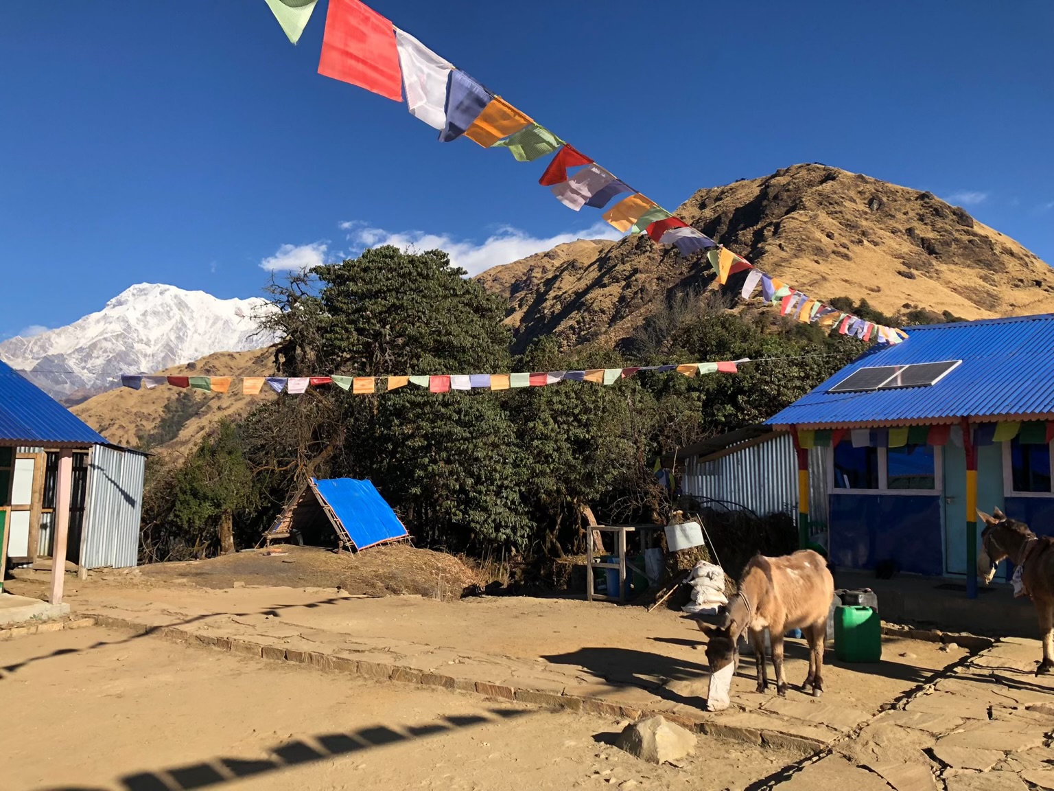 Perfect blend of serenity and beauty form Khumai Danda trek
