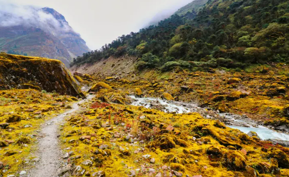 Hinku Khola – The Heart of Hinku Valley