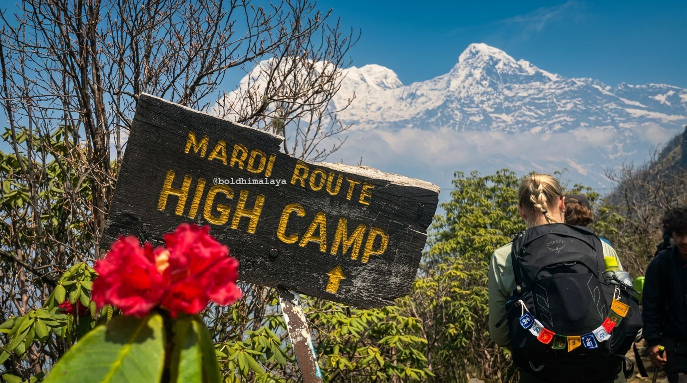 Way to Mardi Himal High Camp during the 5-day Mardi Himal Trek in Nepal