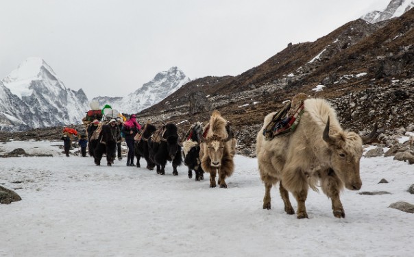 Thukla Pass (Dughla Pass)