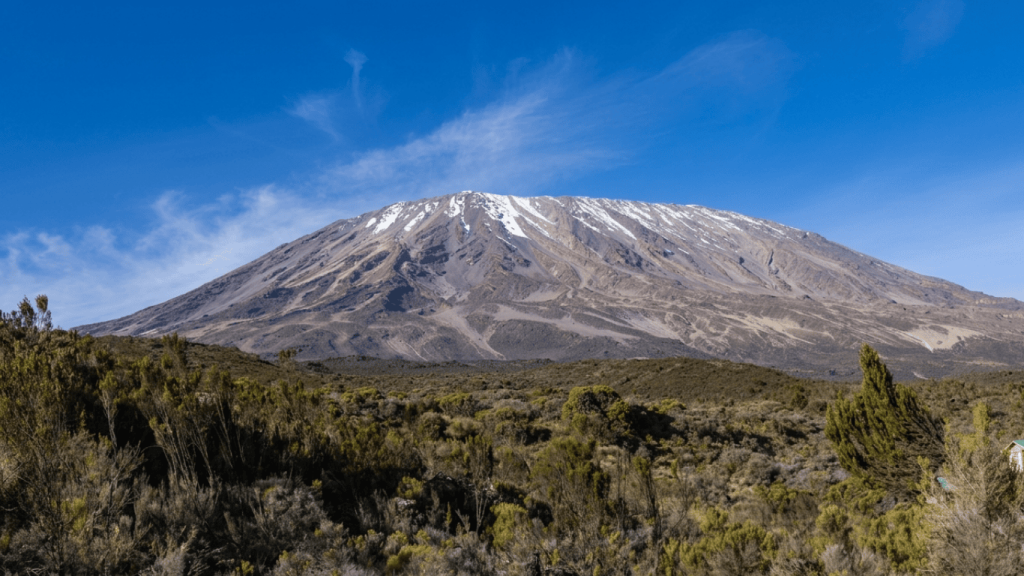 Scenic view of Mount Kilimanjaro with dry savannah landscape and clear blue sky