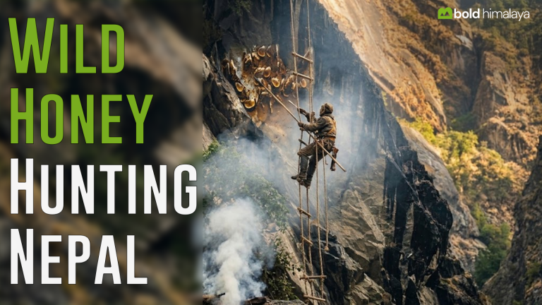 Honey Hunting in Nepal - Cliff Honey Harvesting Tradition
