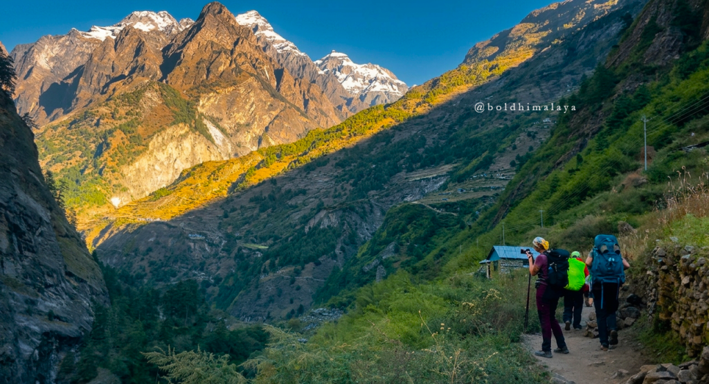 Trekkers walking along the Manaslu Circuit Trek in monsoon, surrounded by lush green hills.