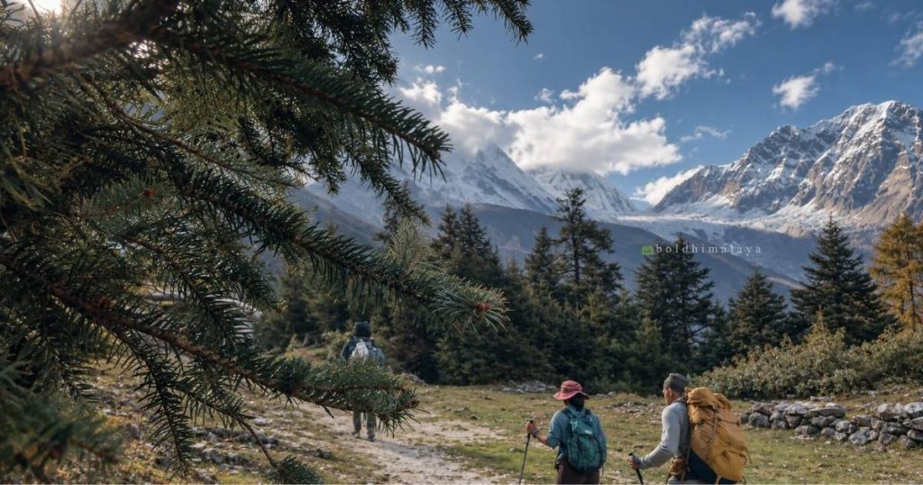 Trekkers walking through alpine forest and mountain scenery, highlight of Manaslu Circuit Trek Weather.