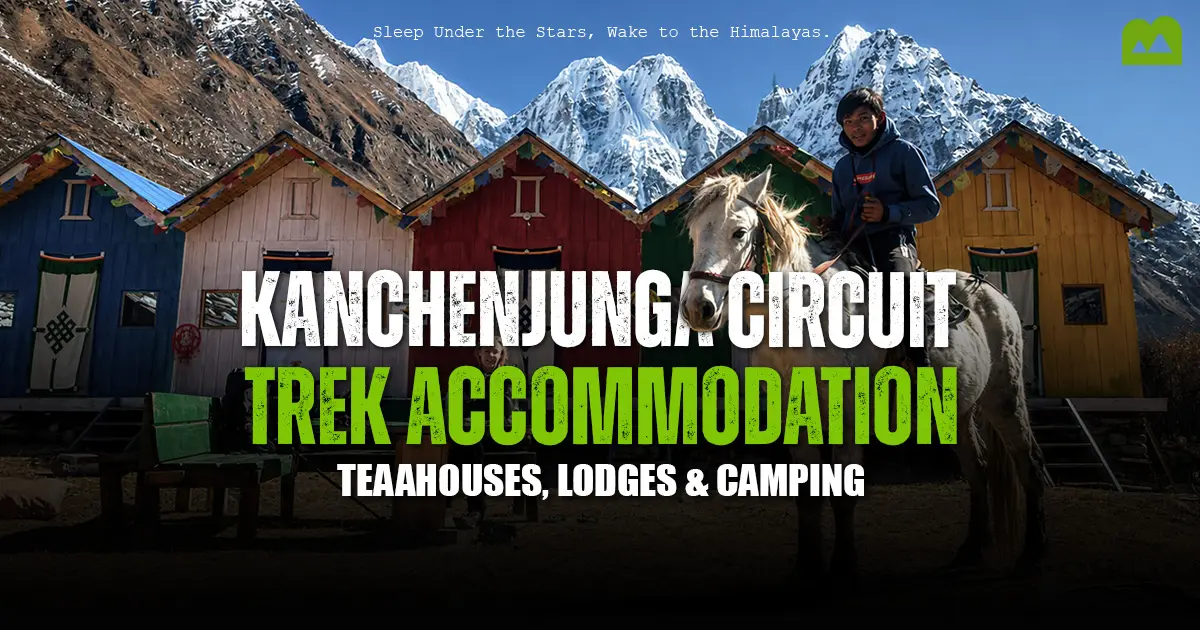 Kanchenjunga Circuit Trek accommodation with teahouses and mountain views